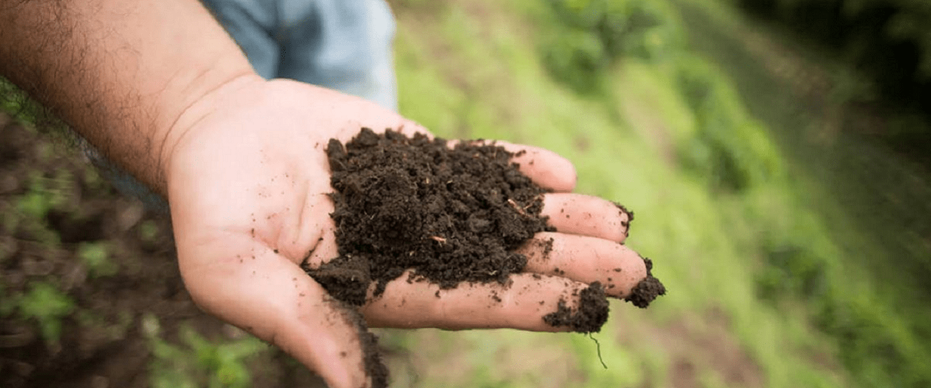 ᐅ La importancia del cuidado del suelo y el medio ambiente